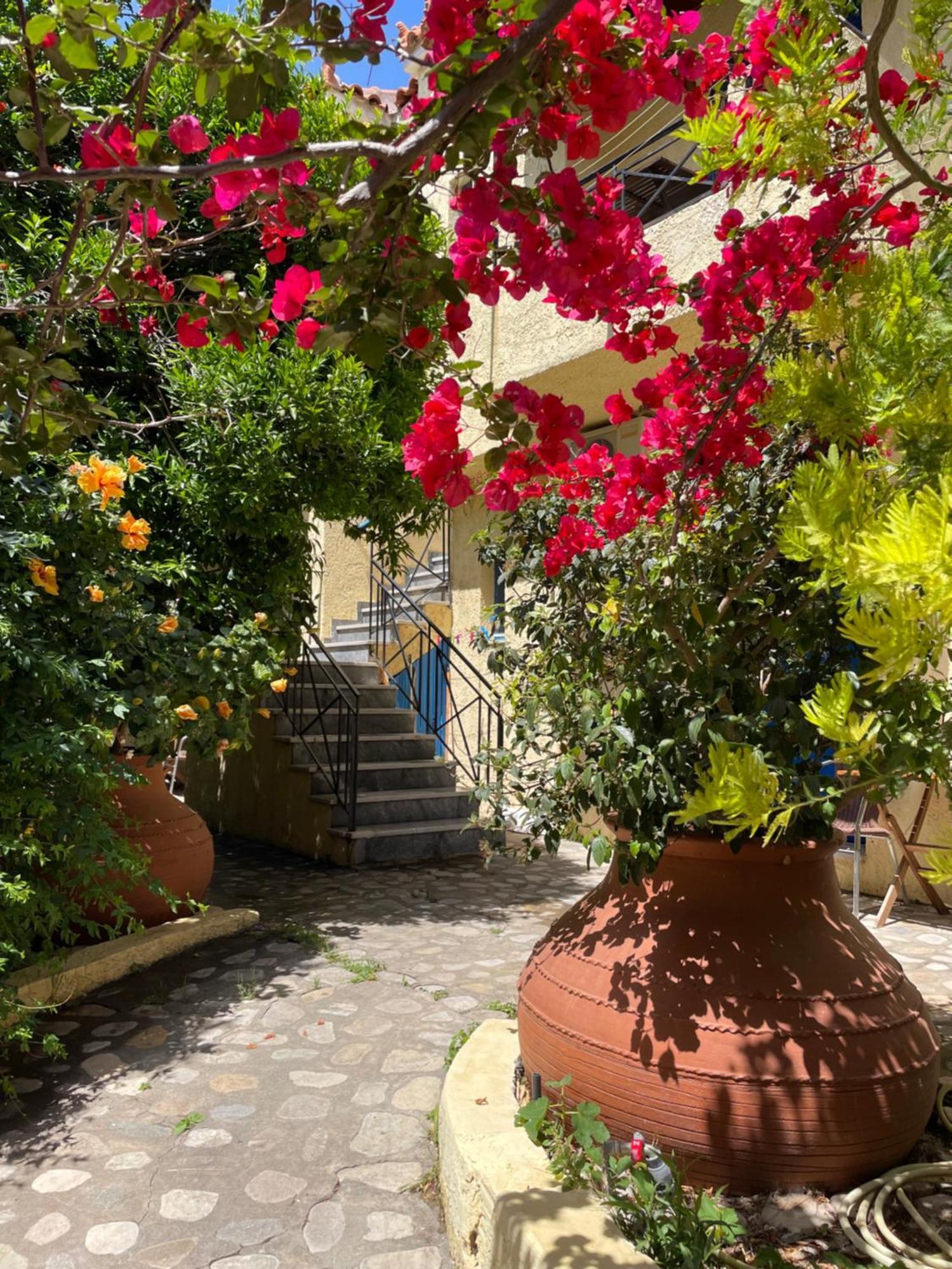 Jimmy'S Place Όρμος Μαραθοκάμπου Εξωτερικό φωτογραφία